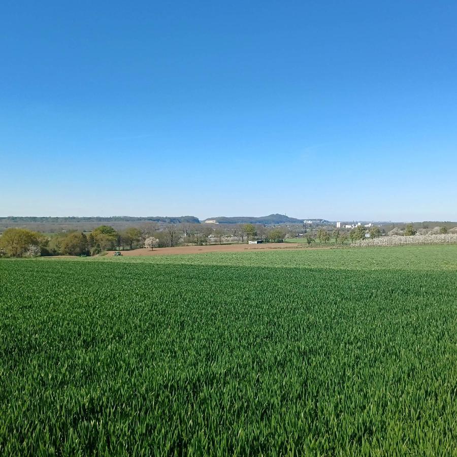 La Cabane Du Coing Visé Exteriér fotografie